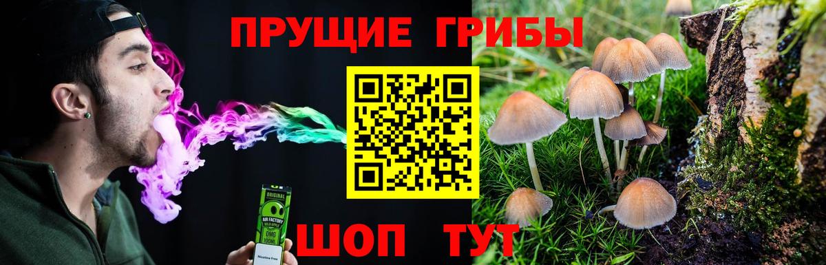 Галлюциногенные грибы Psilocybine cubensis Выкса